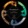 4 Visions of Bizarre Synthetix - EP album lyrics, reviews, download