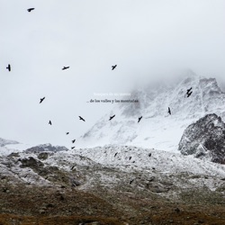 Bosques de mi Mente - No Quedan Apenas Silencios