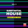 Substantial House, Vol. 3 (Modern House Guide)