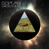 Dark Side of the Mule  cover