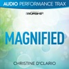 Magnified (Audio Performance Trax) - EP
