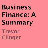 Trevor Clinger - Business Finance: A Summary (Unabridged) artwork