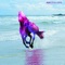 Big Problem - ANR lyrics