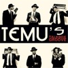 Temu's Talkbox Groove - Single