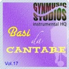 Basi da Cantare, Vol. 17 (Instrumental HQ)