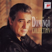 The Domingo Collection artwork