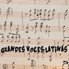 Grandes Voces Latinas, Vol. 5