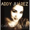 Tu Me Levantas - Addy Juarez lyrics