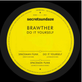 Do It Yourself (Alternative Mix) - Brawther