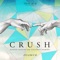 Crush (Danton Eeprom Candy Remix) - Acumen lyrics