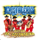 Ojitos De Golondrina
