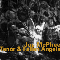 Joe McPhee - Tenor & Fallen Angels artwork