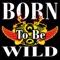 Born to Be Wild - Sam Morrison Band lyrics
