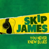 You Never Knew Blues artwork