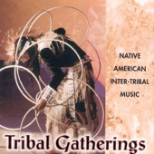Tribal Gatherings: Native American Inter-Tribal Music