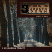 Pickin' On 3 Doors Down: Down to This - A Bluegrass Tribute - Pickin' On Series