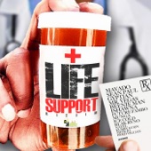 Life Support Riddim artwork