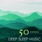 Forest Noises (feat. Shakuhachi Sakano) - Deep Sleep & Shakuhachi Sakano lyrics
