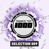Trance Top 1000 Selection, Vol. 9