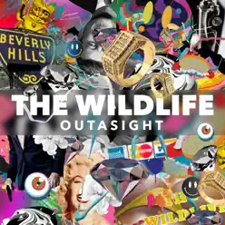 The Wild Life - Single - Outasight