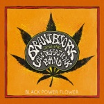 Brant Bjork & The Low Desert Punk Band - Controllers Destroyed