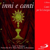 Collana canti per la liturgia: Inni e canti artwork