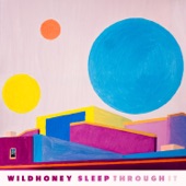 Wildhoney - Owe You Nothing