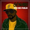 Pou mo publik