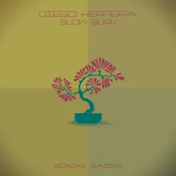 Slow Burn - Diego Herrera Slow Burn - Diego Herrera