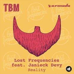 Lost Frequencies - Reality (feat. Janieck Devy)