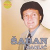 Saban Saulic