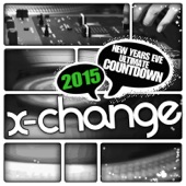 New Years Eve Ultimate Countdown 2015 Female Voice (Epic DJ Tools) artwork