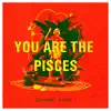You Are the Pisces - EP album lyrics, reviews, download