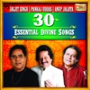 30 Essential Divine Songs - Jagjit Singh - Pankaj Udhas - Anup Jalota, 2013