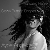 Slowly Burning Bridges (Thunberg Remix) artwork