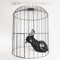Libera - Anna Tatangelo lyrics