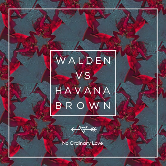 Cover artwork for No Ordinary Love (Walden vs. Havana Brown)