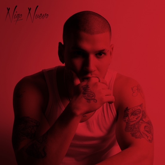 Cover artwork for Nur ehrlich