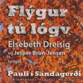 Flýgur tú lógv artwork