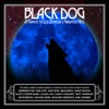 Black Dog: A Tribute To Led Zeppelin's Greatest Hits
