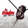 The Stranglers - Something Better Change (Live)