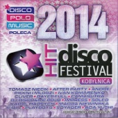 Disco Hit Festival - Kobylnica 2014 artwork
