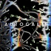 Autocalm artwork