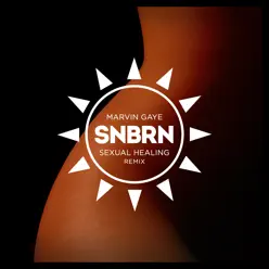 Sexual Healing (SNBRN Radio Remix) - Single - Marvin Gaye