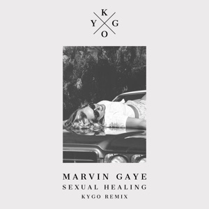 Sexual Healing Artwork