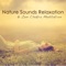 Nature Sounds Relaxation - First Second lyrics