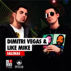 Salinas - Dimitri Vegas & Like Mike