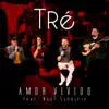 Amor Vivido (feat. Noel Schajris) - Single album lyrics, reviews, download