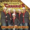 No Se Vivir - Los Canarios de Michoacan lyrics