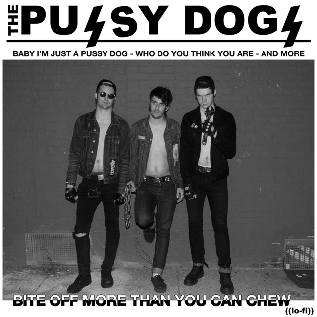 The Pussy Dogs Bite Off More Than You Can Chew - EP Album Cover
